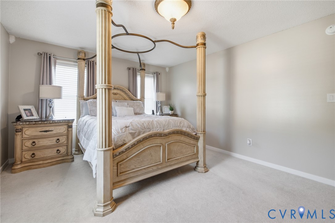 15300 Lebanon Road Spring Grove, VA 23881 - Photo 15 of 41