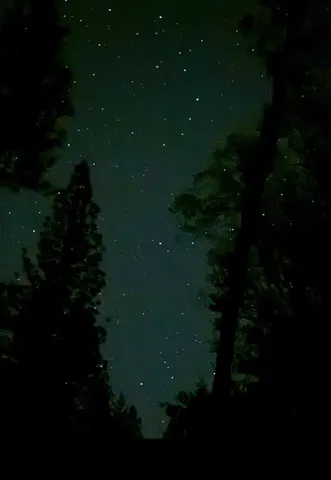 a close up of a sink