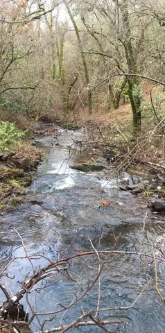 $174,000 | 18488 Ponderosa Annex Road, Sutter Creek, CA 95685