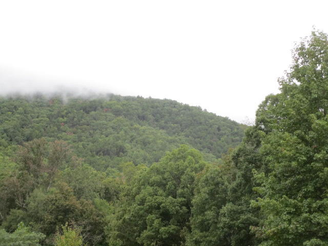1970 Corbin Lake Road Rutledge, TN 37861 - Photo 2 of 17 IMG_1735