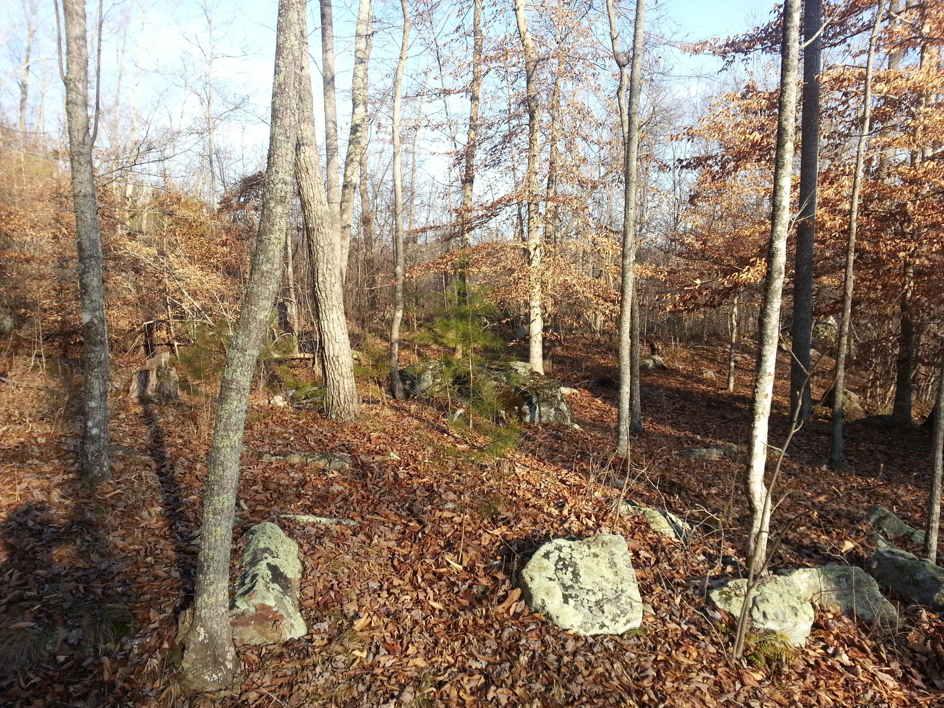 1970 Corbin Lake Road Rutledge, TN 37861 - Photo 11 of 17 20121230_154244