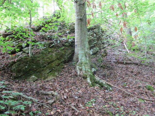 1970 Corbin Lake Road Rutledge, TN 37861 - Photo 13 of 17 IMG_1718