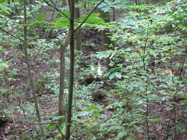 1970 Corbin Lake Road Rutledge, TN 37861 - Photo 14 of 17 IMG_1720