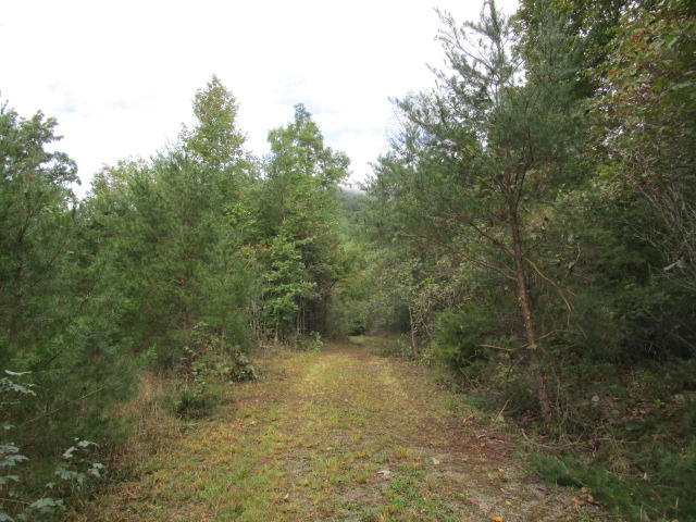 1970 Corbin Lake Road Rutledge, TN 37861 - Photo 17 of 17 IMG_1736