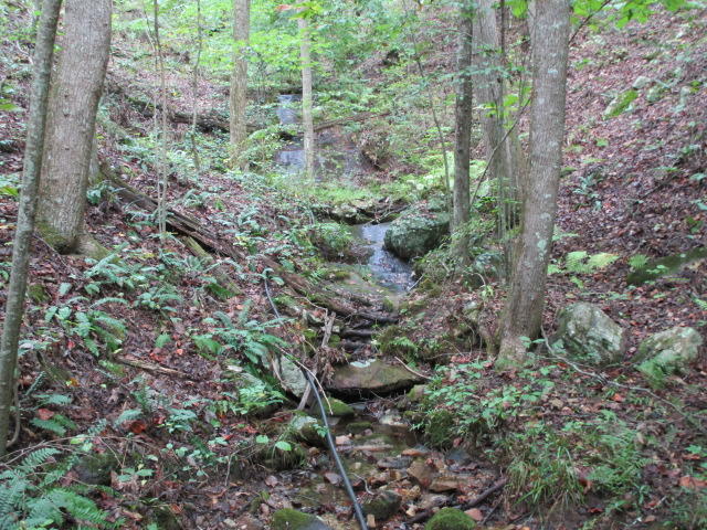 1970 Corbin Lake Road Rutledge, TN 37861 - Photo 3 of 17 IMG_1719