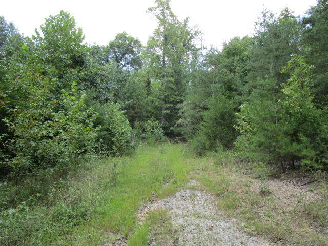 1970 Corbin Lake Road Rutledge, TN 37861 - Photo 4 of 17 IMG_1627