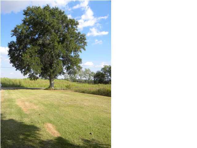 8628 Alpha Road Abbeville, LA 70510 - Photo 12 of 12 Additional Photo