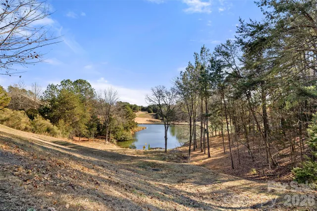 a view of lake with tree