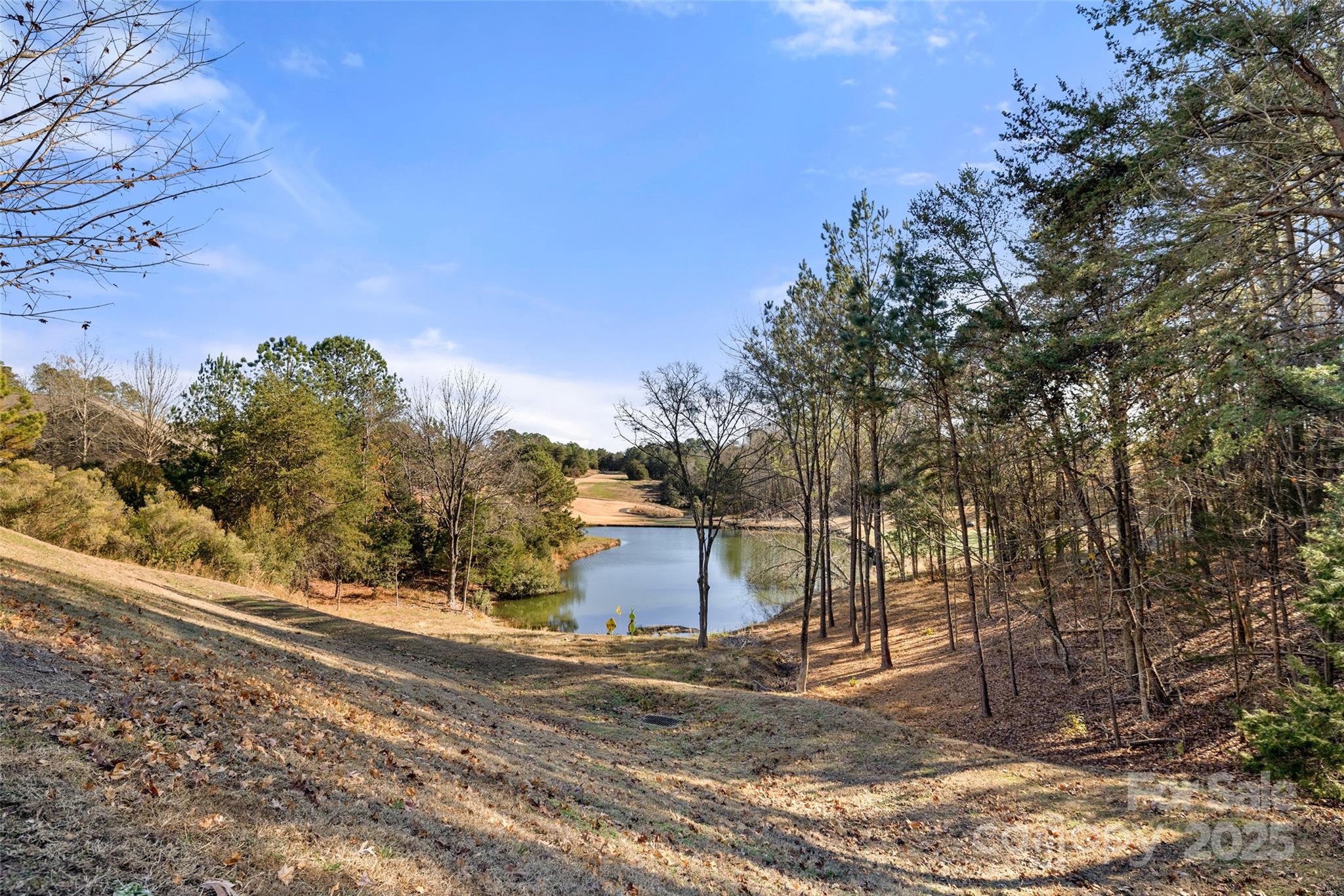 719 Deerbrook Lane Tega Cay, SC 29708 - Photo 27 of 33 a backyard of a house with lots of green space
