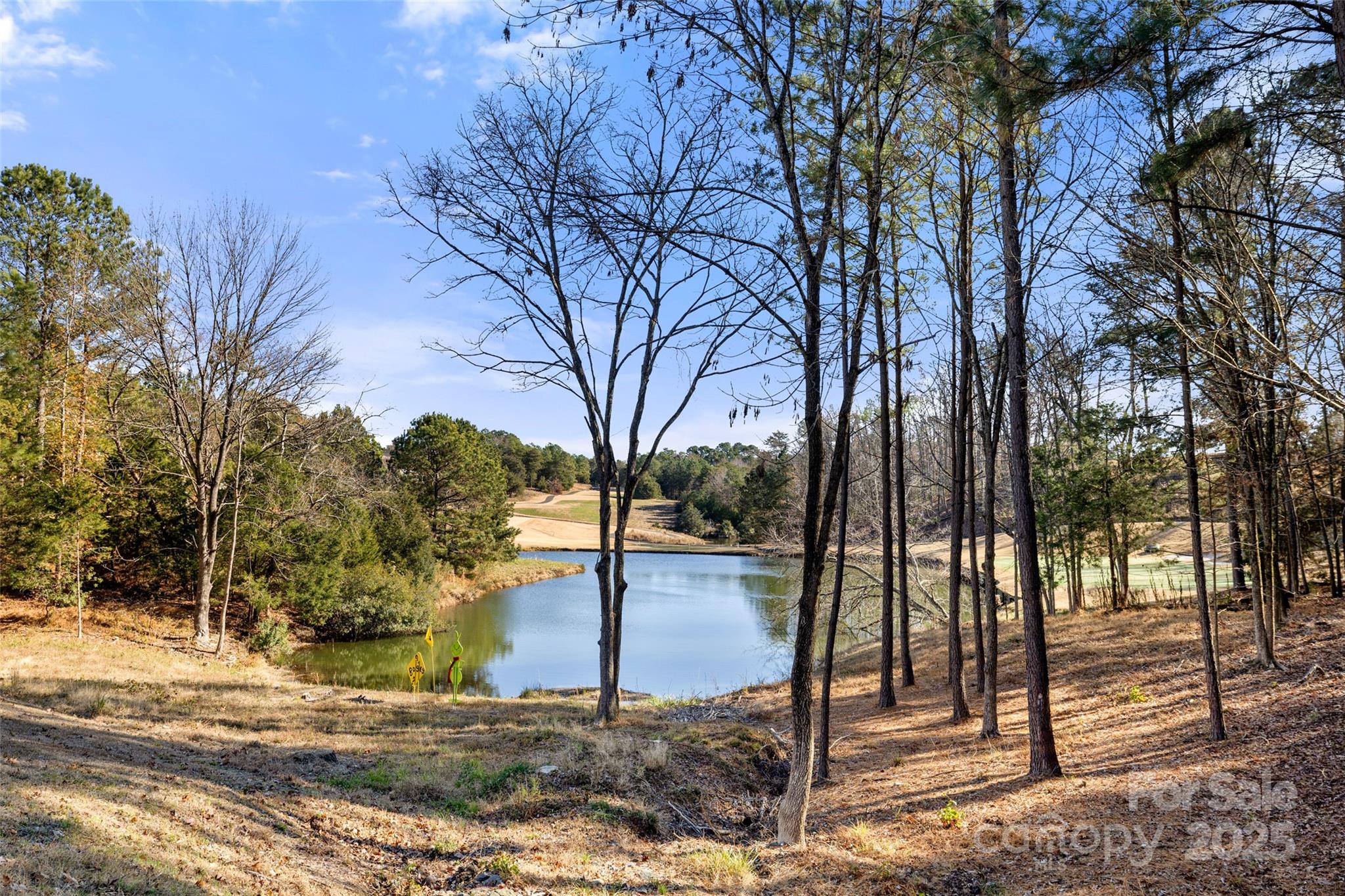 719 Deerbrook Lane Tega Cay, SC 29708 - Photo 28 of 33 a view of a park with large trees