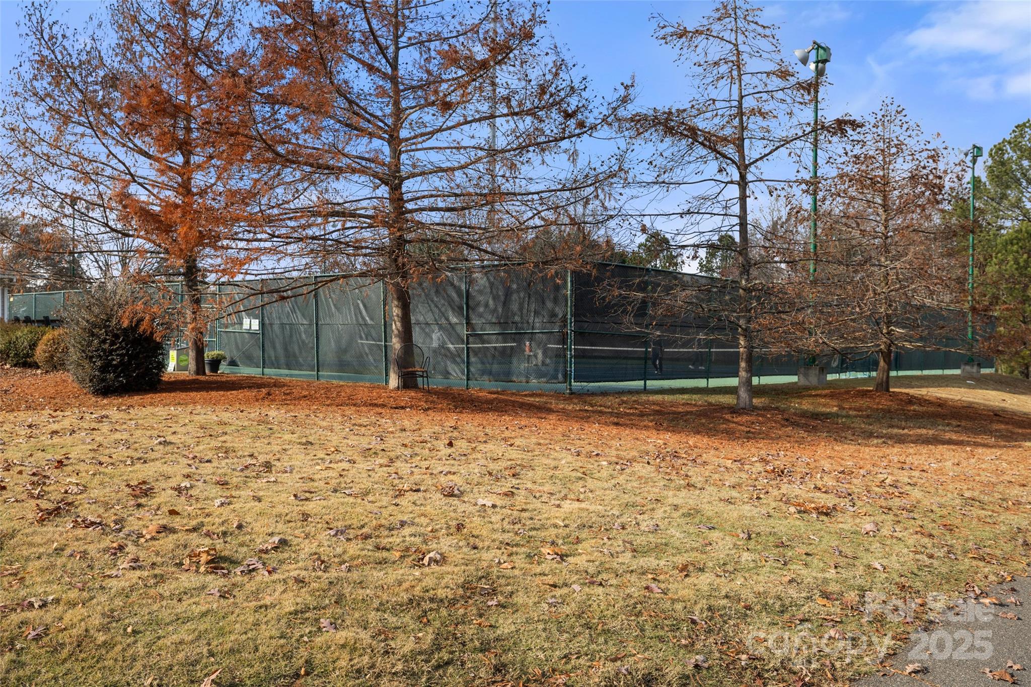 719 Deerbrook Lane Tega Cay, SC 29708 - Photo 31 of 33 a backyard of a house with lots of green space
