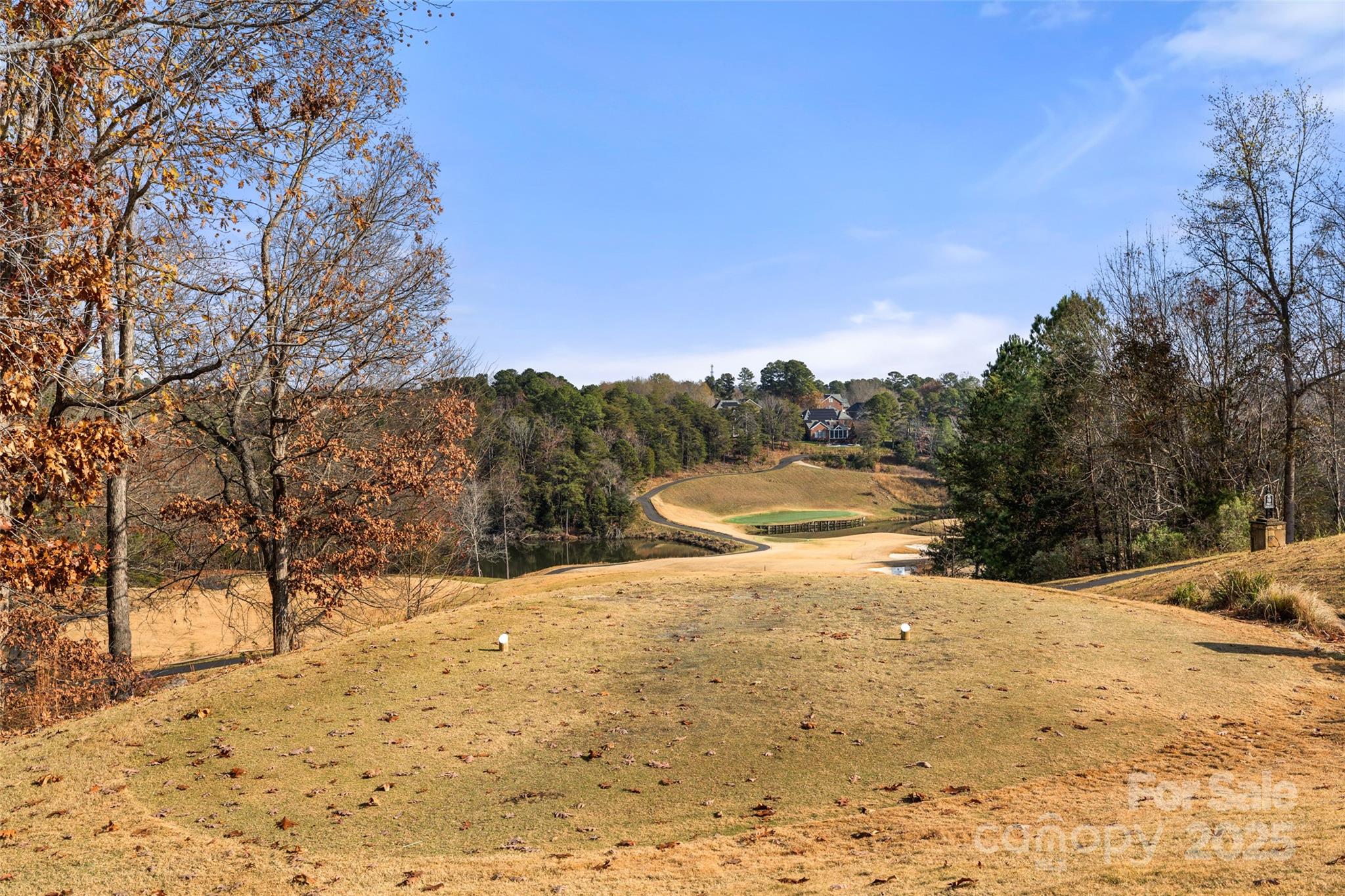 719 Deerbrook Lane Tega Cay, SC 29708 - Photo 32 of 33 a view of snow covered with snow in front of house