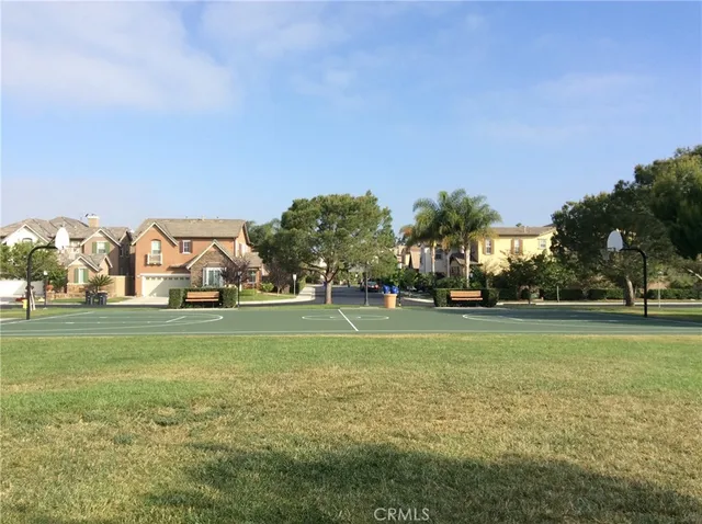 a view of a field with a big trees