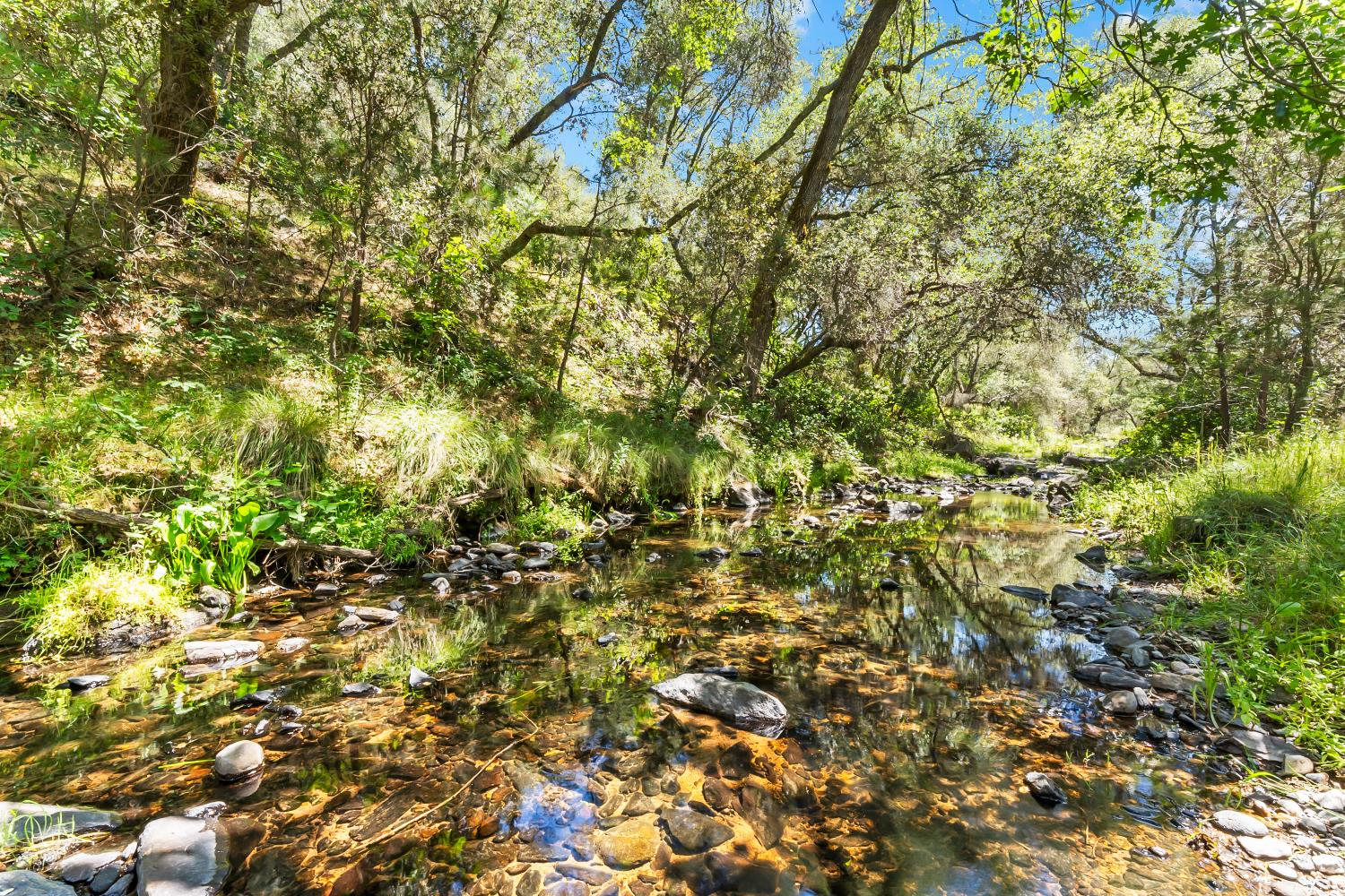 12850 Fiddletown Road Plymouth, CA 95669 - Photo 83 of 88 North Fork Dry Creek