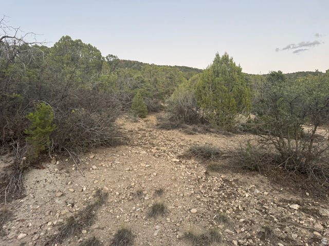 Great Usable Lot