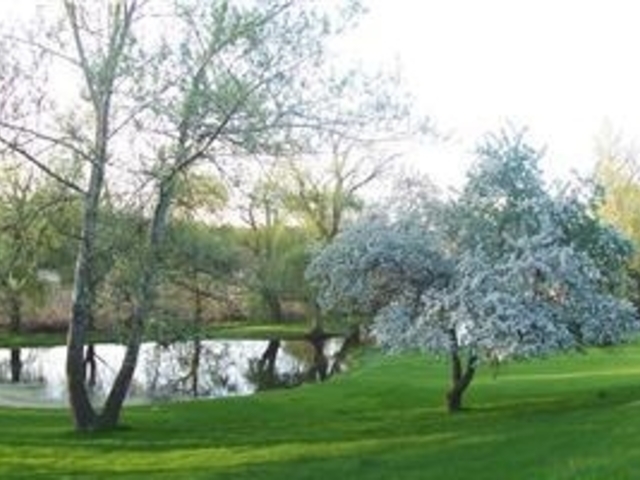 Undisclosed Address Barrington, IL 60010 - Photo 1 of 2 a view of a park with large trees