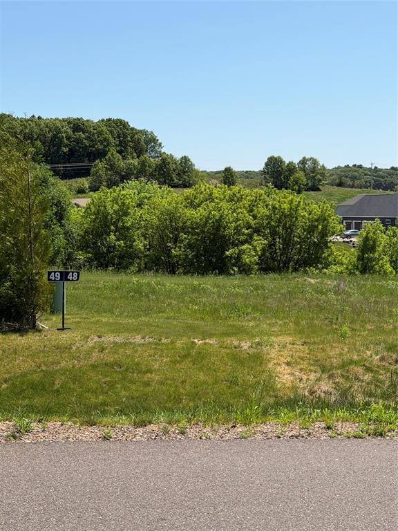 Lot 48 Chestnut Road Eleva, WI 54738 - Photo 3 of 10