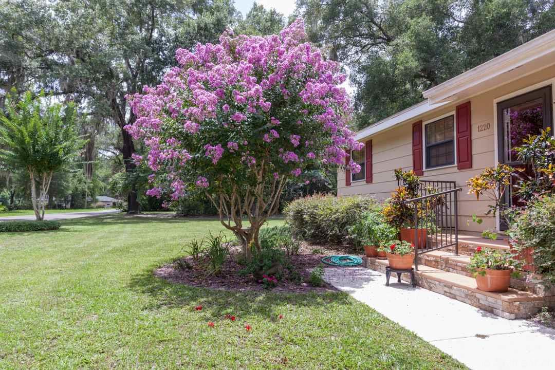 1220 Pointview Road Keystone Heights, FL 32656 - Photo 3 of 29 Gallery Image 3