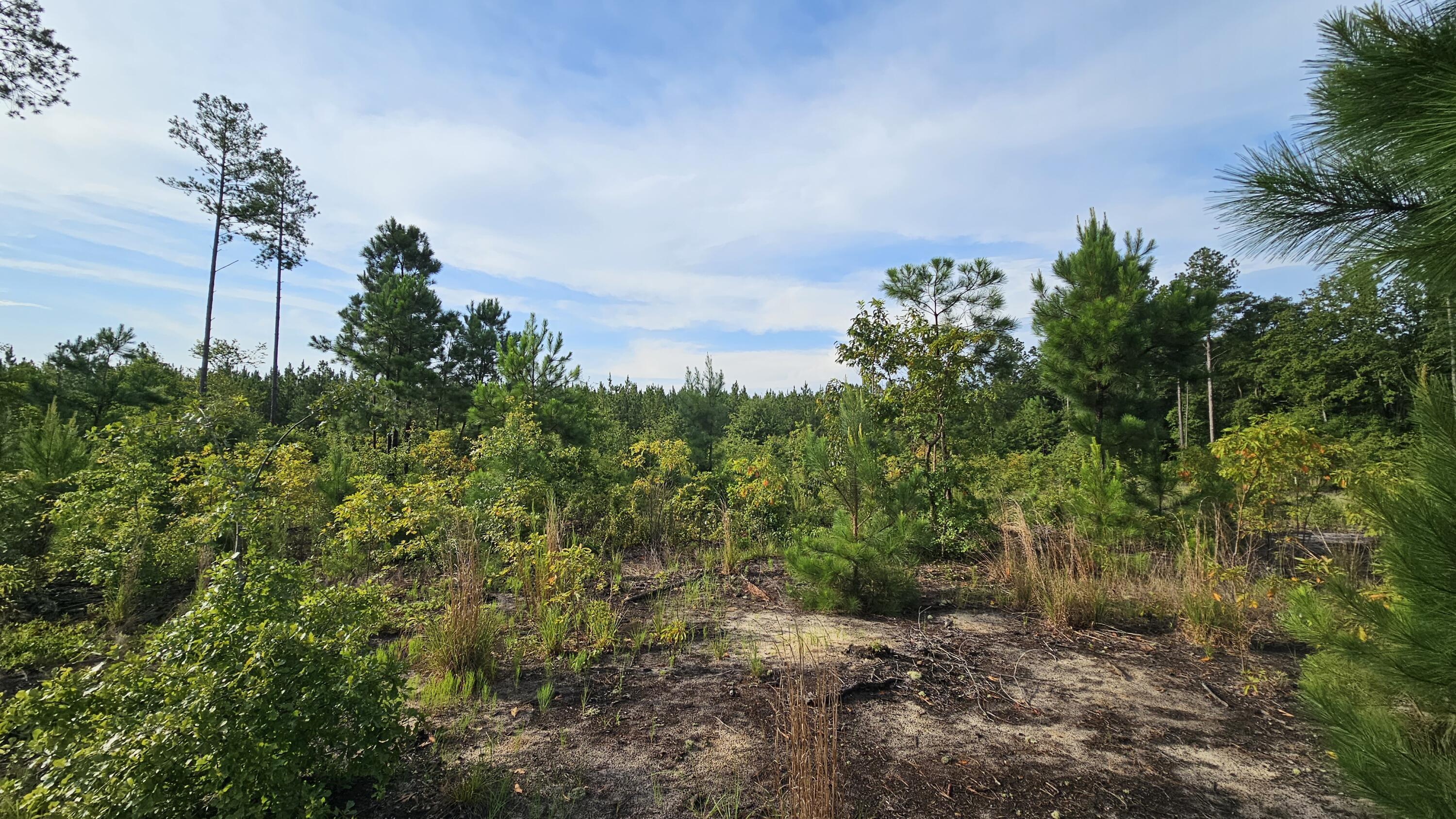 Lot 0 Wire Road Aiken, SC 29805 - Photo 10 of 25
