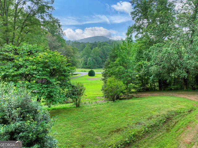 a view of a green yard with a house