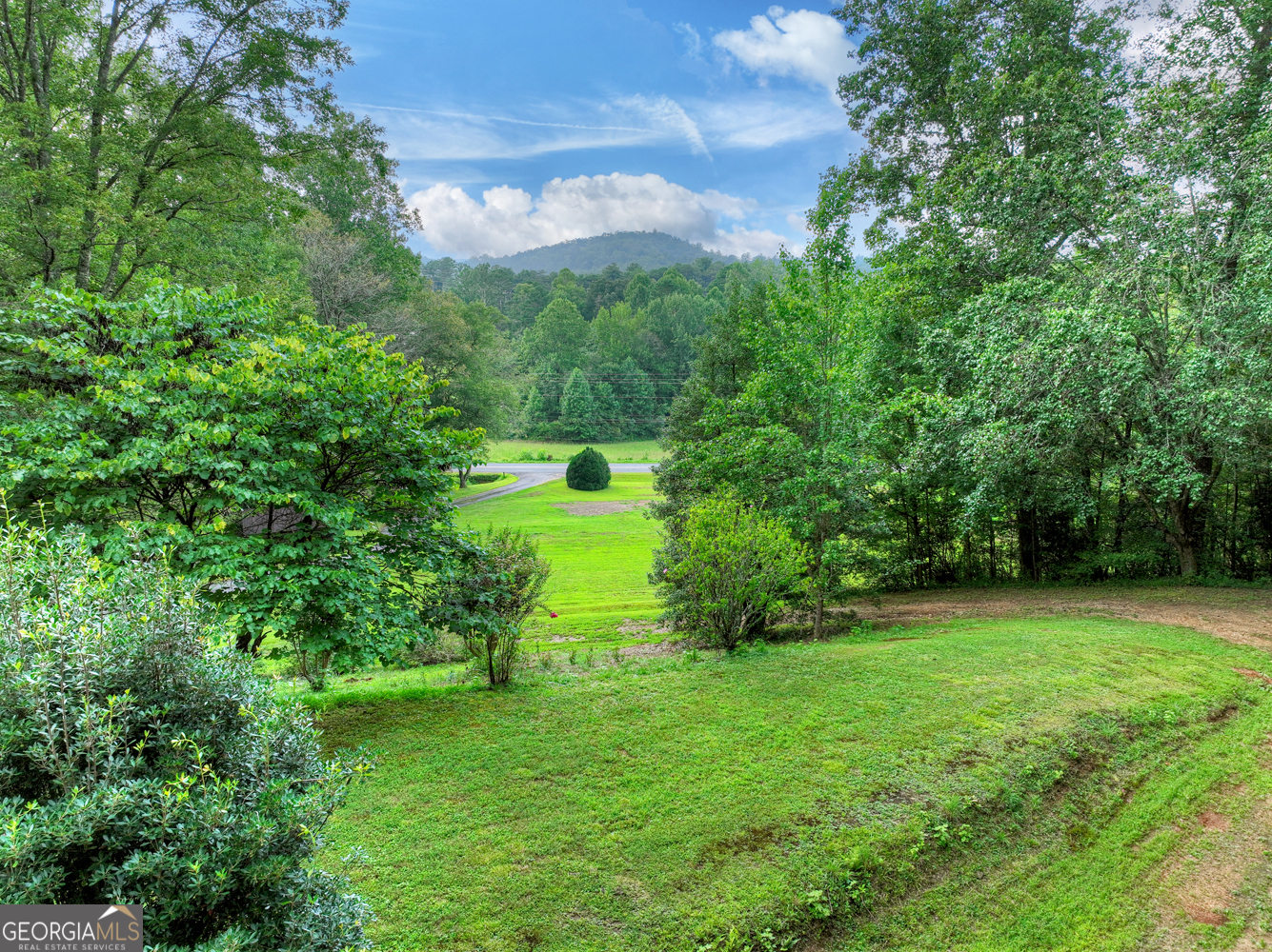 1362 Cherry Log Street Cherry Log, GA 30522 - Photo 29 of 55 a view of a green yard with a house