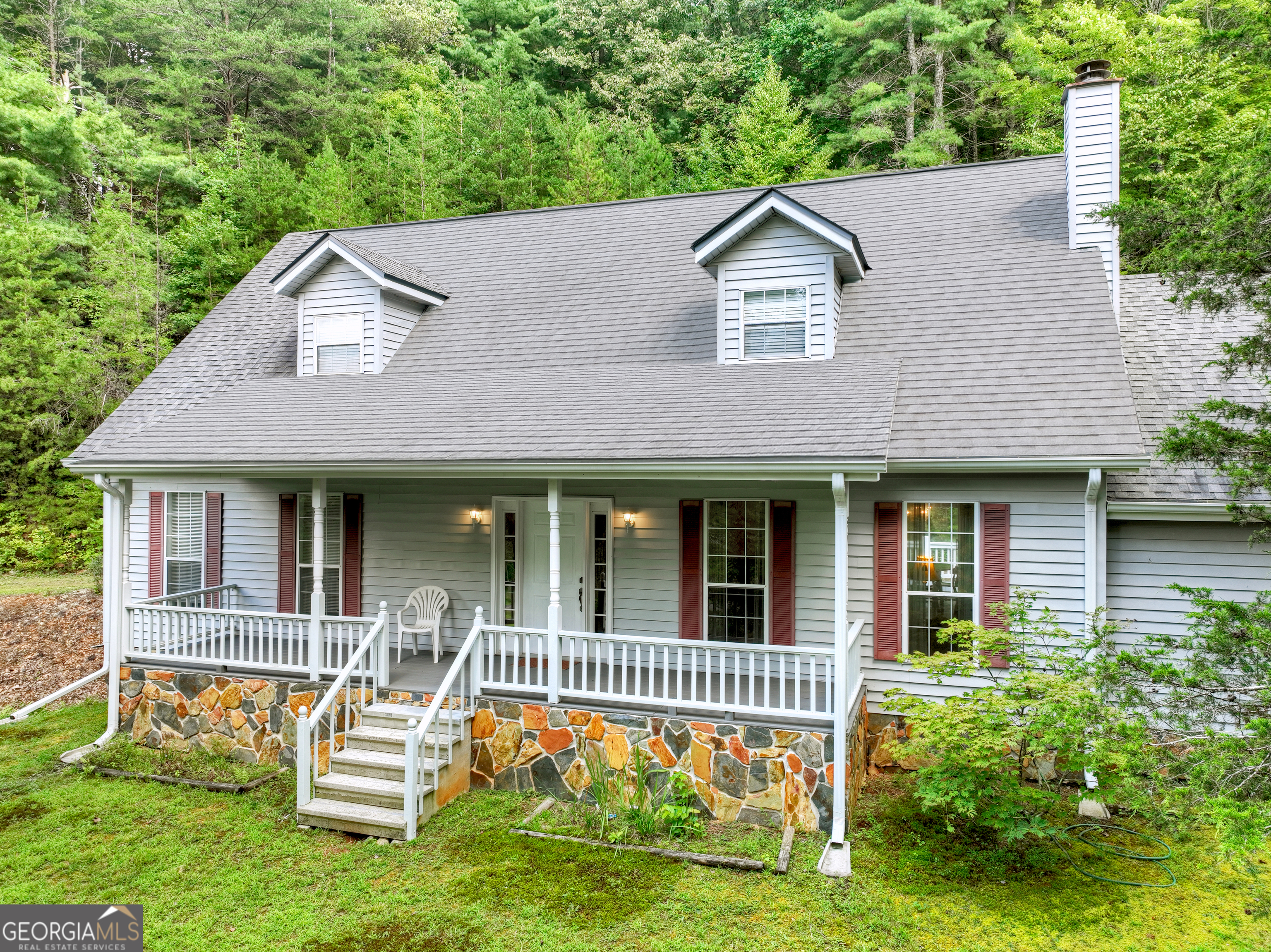 1362 Cherry Log Street Cherry Log, GA 30522 - Photo 4 of 55 a aerial view of a house with a yard