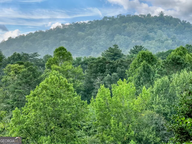 an aerial view of mountain with trees in the background