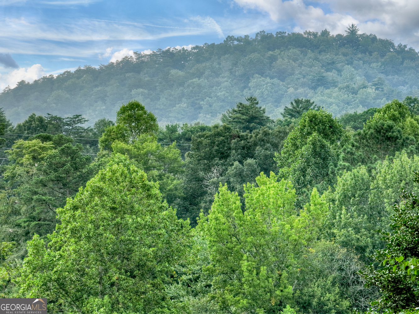 1362 Cherry Log Street Cherry Log, GA 30522 - Photo 42 of 55 an aerial view of mountain with trees in the background