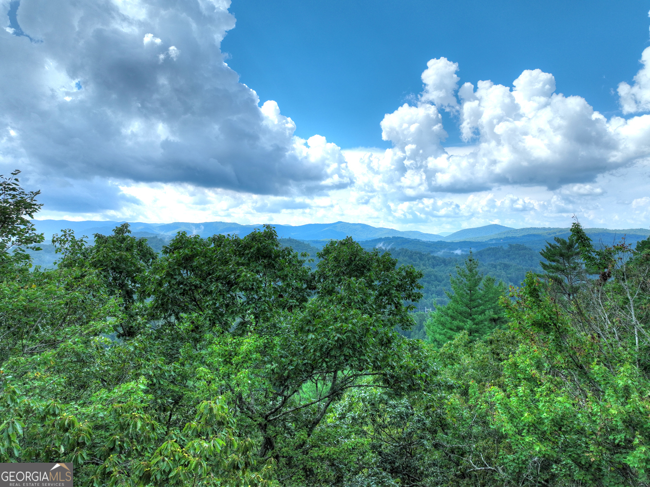 1362 Cherry Log Street Cherry Log, GA 30522 - Photo 43 of 55 a view of a city