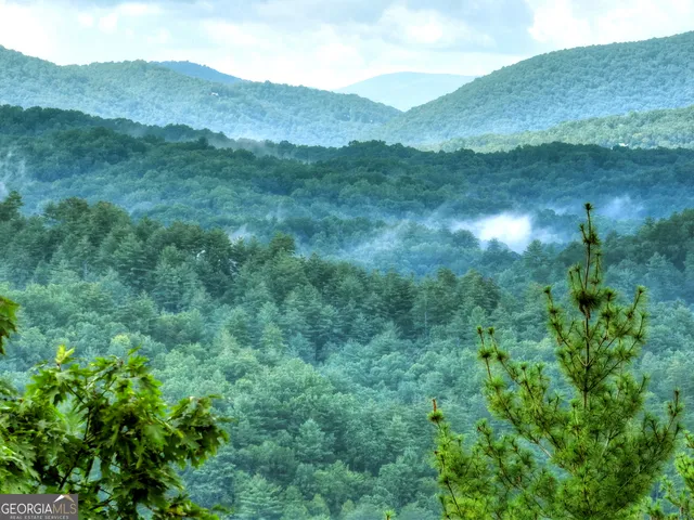 a view of a lush green hillside and mountains