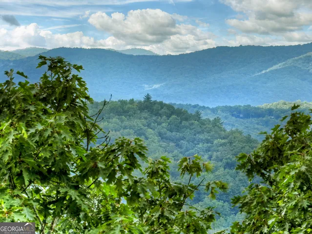 a view of a bunch of trees