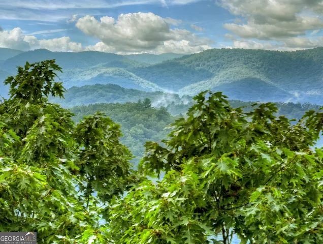 a house with trees in the background
