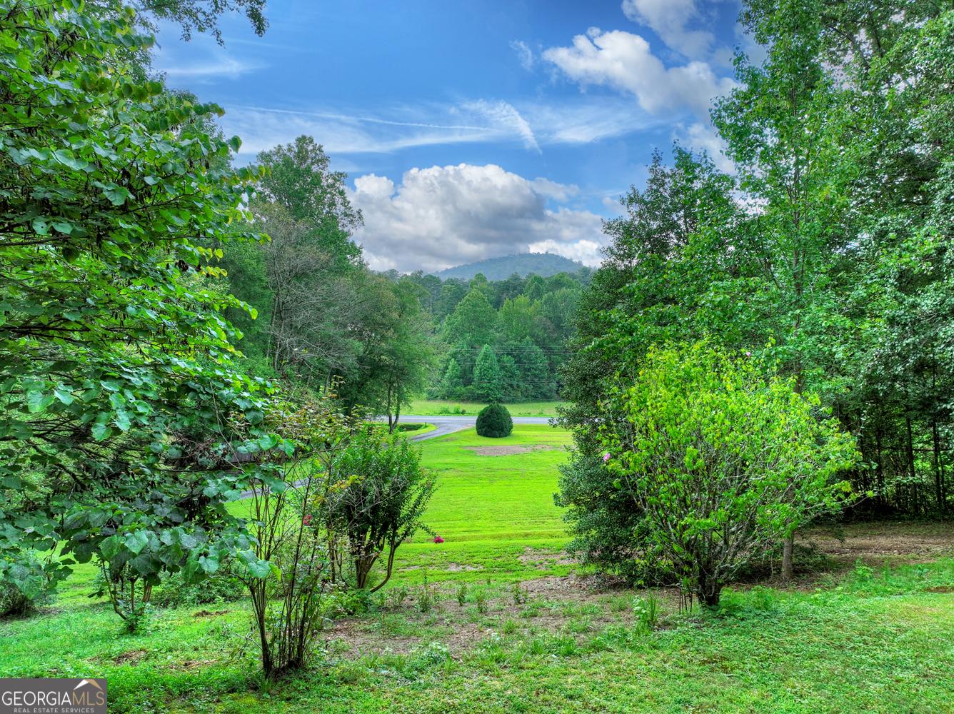 1362 Cherry Log Street Cherry Log, GA 30522 - Photo 49 of 55 a view of a big yard with large trees