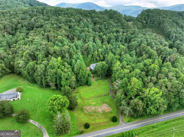 a view of flowers in a yard