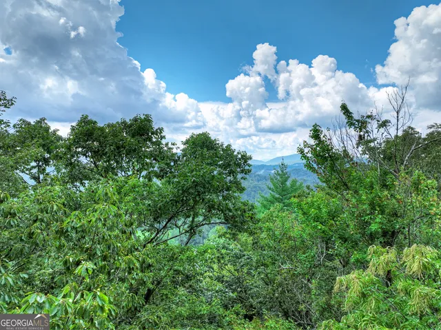 $684,000 | 1362 Cherry Log Street, Cherry Log, GA 30522