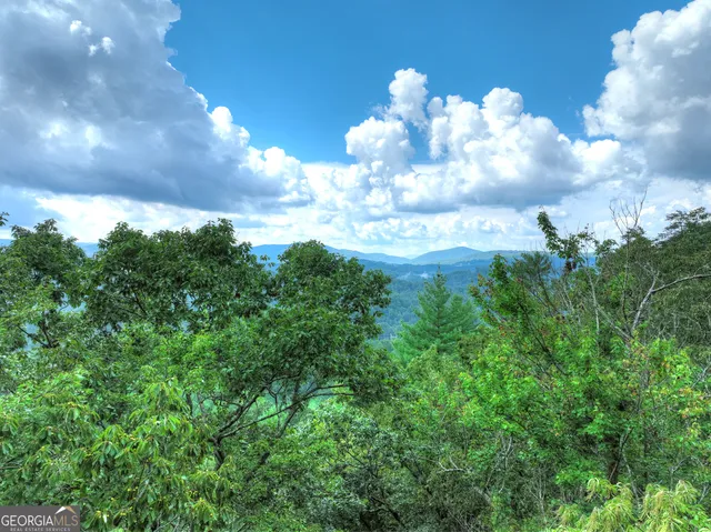 $684,000 | 1362 Cherry Log Street, Cherry Log, GA 30522