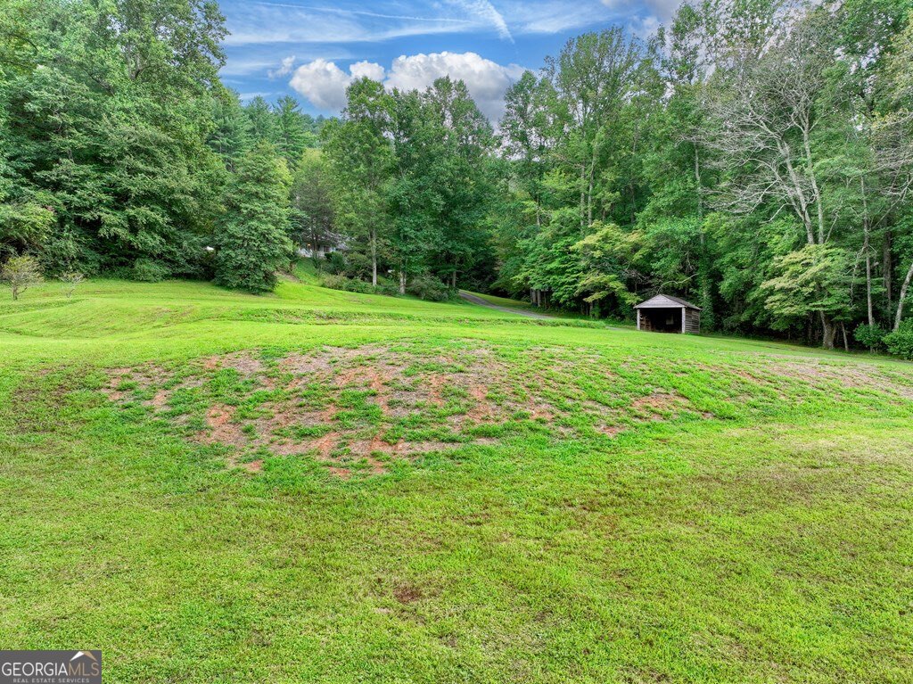 1362 Cherry Log Street Cherry Log, GA 30522 - Photo 6 of 55 a view of a grassy field with trees in the background