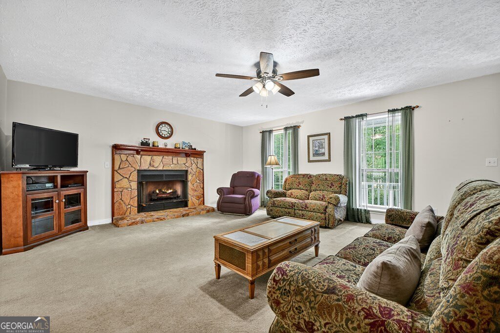 1362 Cherry Log Street Cherry Log, GA 30522 - Photo 9 of 55 a living room with furniture a flat screen tv and a fireplace