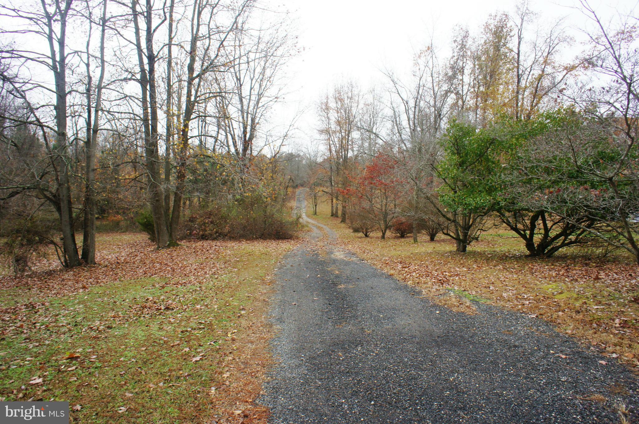 7244 Clyde Jones Road Owings, MD 20736 - Photo 21 of 26 The long winding road leads to your door!