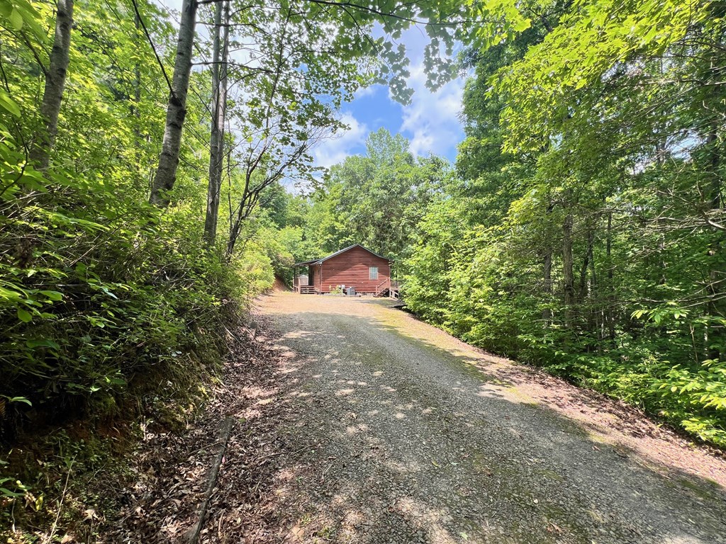 384 Shadow Pnes Drive Murphy, NC 28906 - Photo 12 of 36