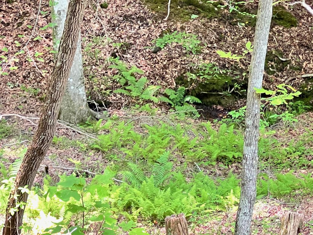 384 Shadow Pnes Drive Murphy, NC 28906 - Photo 34 of 36