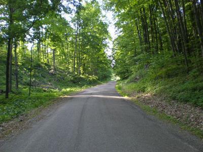 St Pierre Road Arcadia, MI 49613 - Photo 1 of 8 Primary Photo
