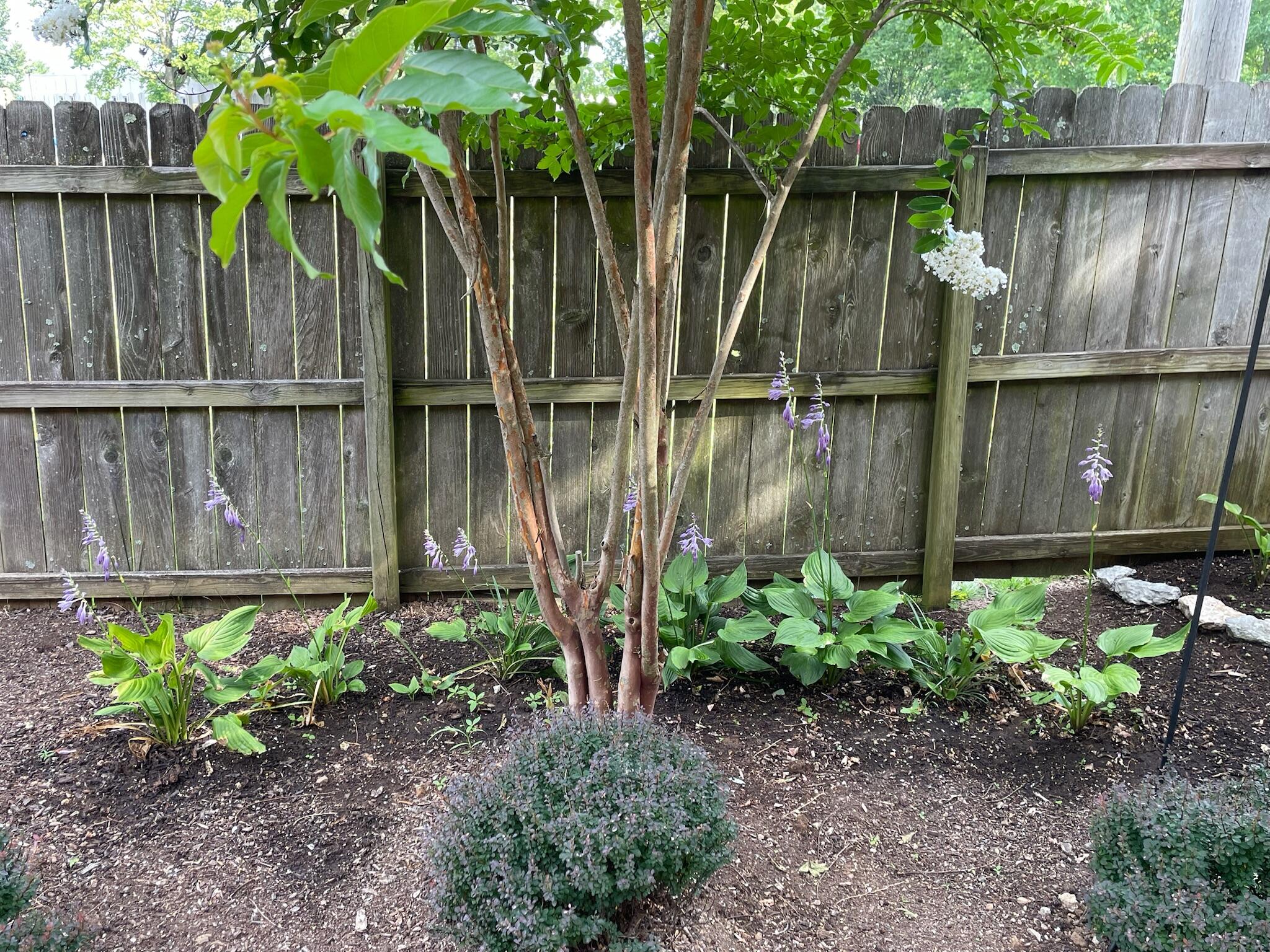 3366 Montavesta Road Lexington, KY 40502 - Photo 53 of 56 IMG_1509