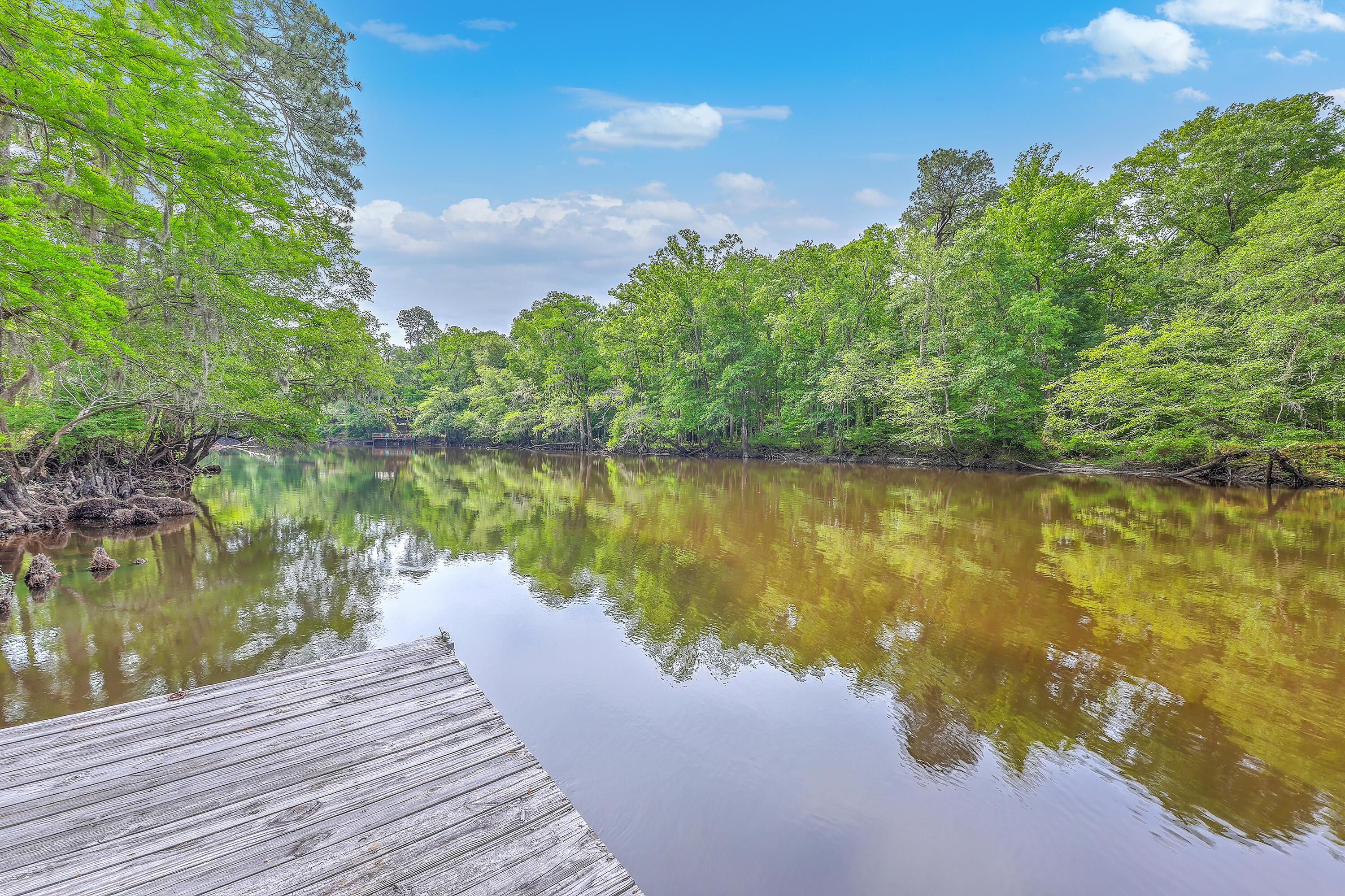 100 Canal Road St. George, SC 29477 - Photo 7 of 58 Edisto River