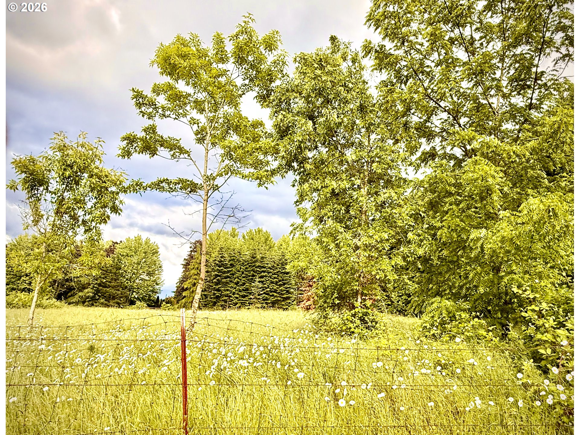37068 Southeast Hauglum Road Sandy, OR 97055 - Photo 5 of 9 Acreage