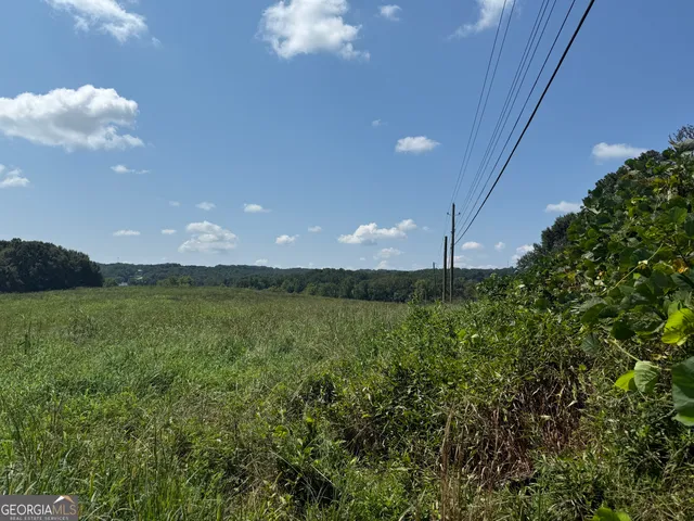 a view of a green field with lots of bushes