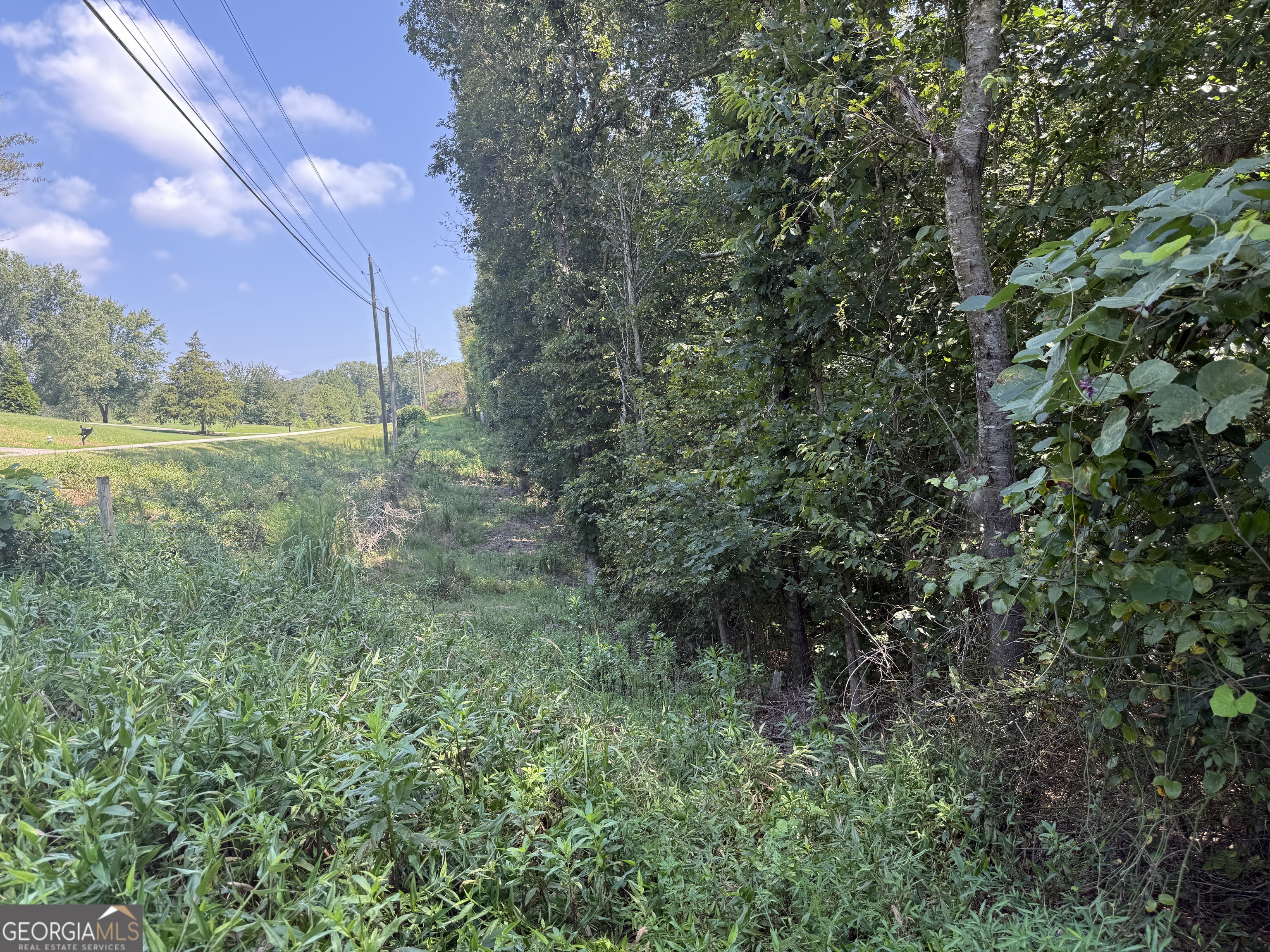 14.4-acres Roy Parks Road Talmo, GA 30575 - Photo 12 of 16