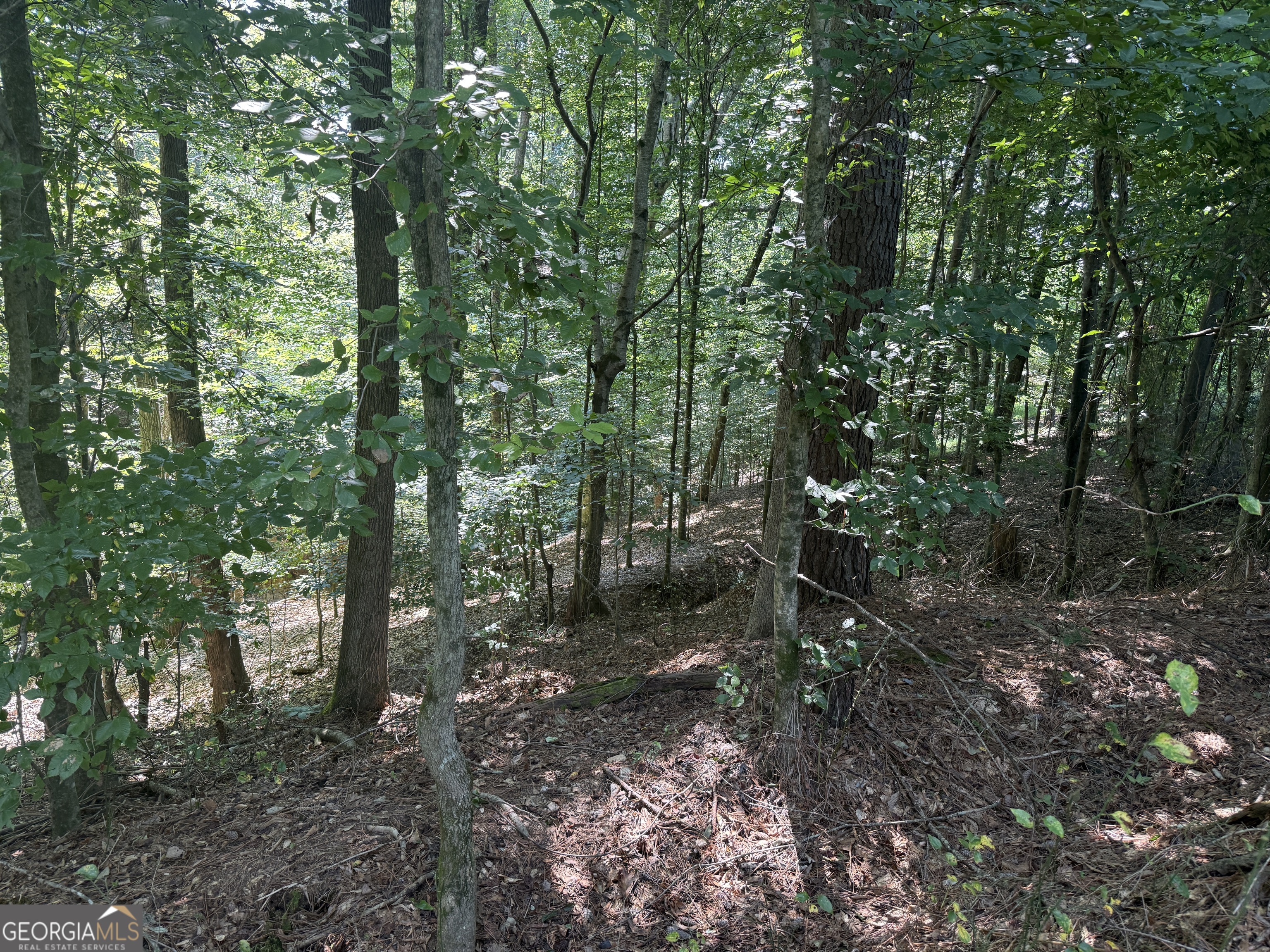 14.4-acres Roy Parks Road Talmo, GA 30575 - Photo 13 of 16