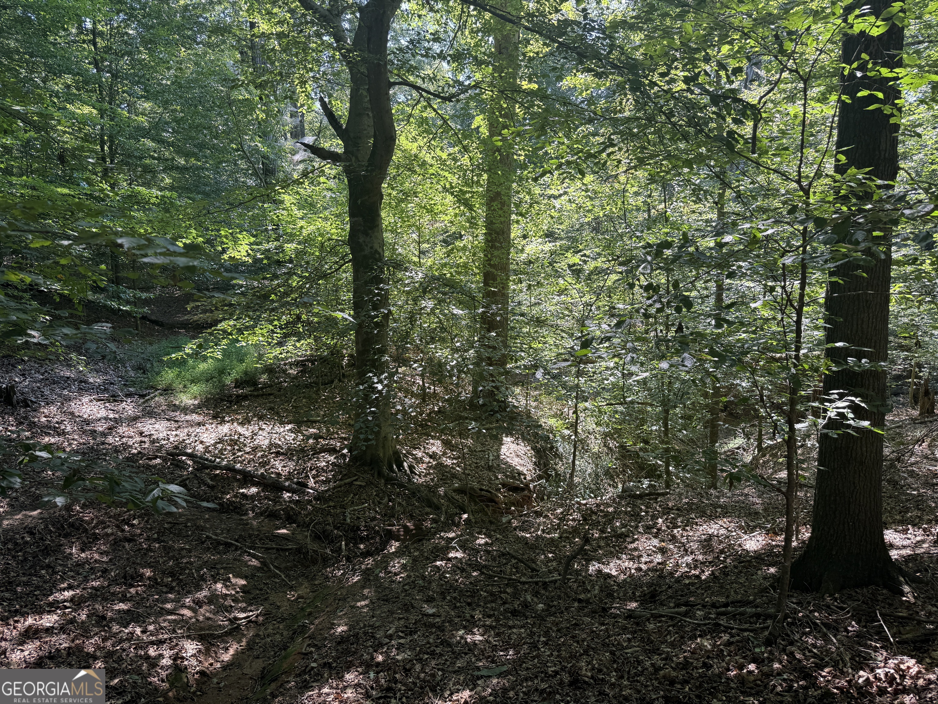 14.4-acres Roy Parks Road Talmo, GA 30575 - Photo 14 of 16