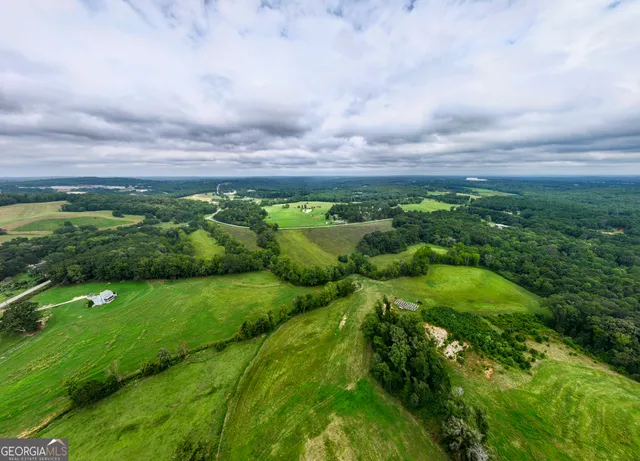 a view of a city with lush green forest